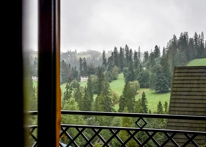 Jatka No 1 자코파네